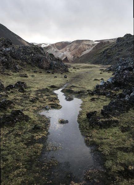 5 Essential Tips for an Unforgettable Road Trip