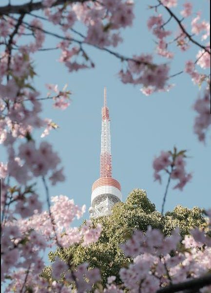 Exploring the Latest Innovations in Air Travel Technology