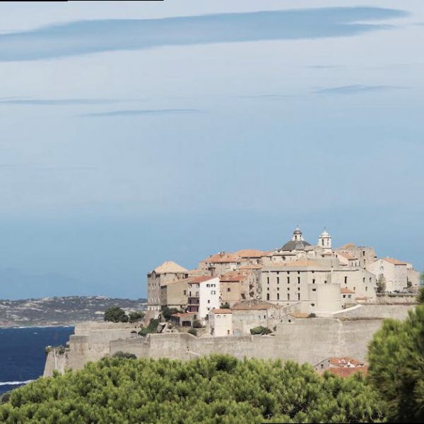 Navigating Air Travel Restrictions During the Pandemic