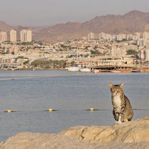 Navigating the Current Travel Restrictions: What You Need to Know